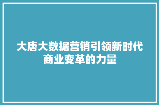 大唐大数据营销引领新时代商业变革的力量 编程语言