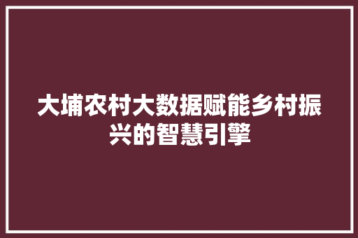 大埔农村大数据赋能乡村振兴的智慧引擎 电脑基础