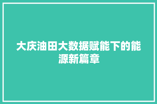 大庆油田大数据赋能下的能源新篇章 电脑故障维修