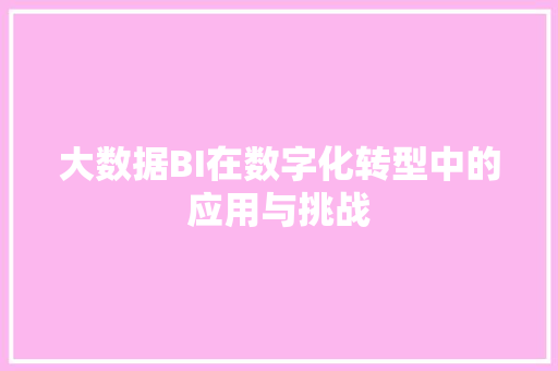 大数据BI在数字化转型中的应用与挑战 操作系统