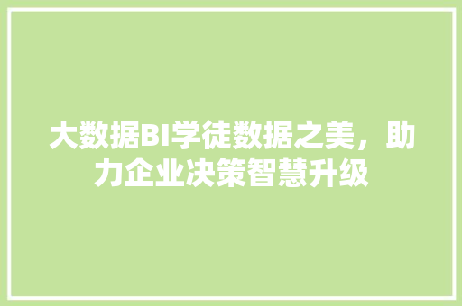 大数据BI学徒数据之美，助力企业决策智慧升级 网络技术