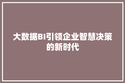 大数据BI引领企业智慧决策的新时代 网络技术