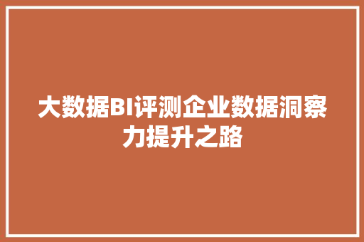 大数据BI评测企业数据洞察力提升之路 操作系统