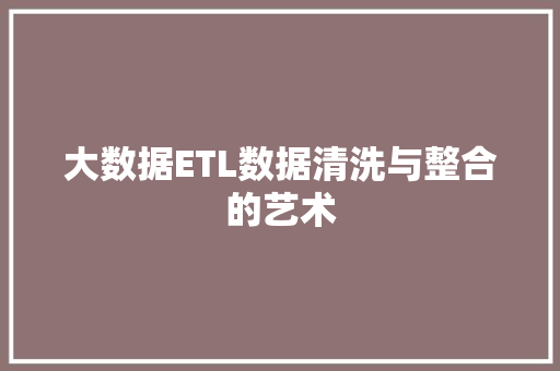 大数据ETL数据清洗与整合的艺术 网络技术