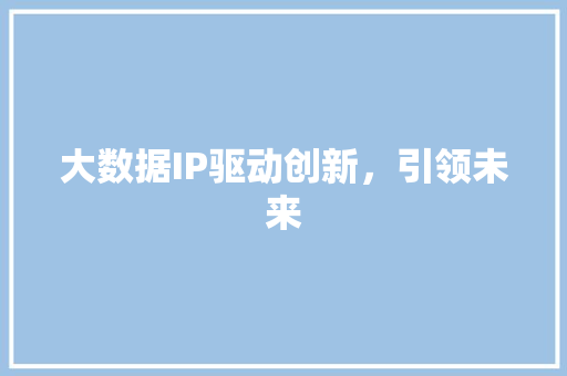 大数据IP驱动创新，引领未来 编程语言
