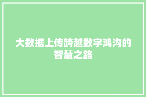 大数据上传跨越数字鸿沟的智慧之路 网络技术