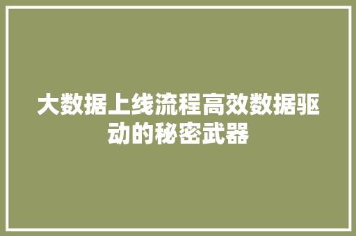 大数据上线流程高效数据驱动的秘密武器 编程语言 大数据上线流程高效数据驱动的秘密武器 编程语言