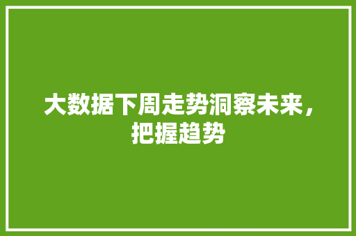 大数据下周走势洞察未来，把握趋势 编程语言