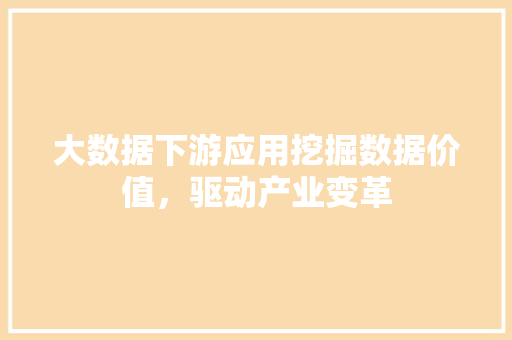 大数据下游应用挖掘数据价值，驱动产业变革 编程语言