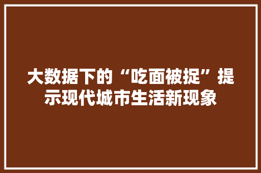 大数据下的“吃面被捉”提示现代城市生活新现象 电脑故障维修