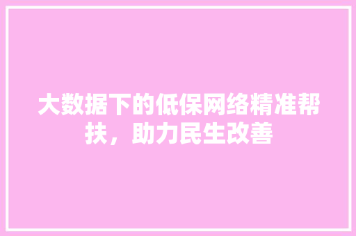 大数据下的低保网络精准帮扶，助力民生改善 电脑配置