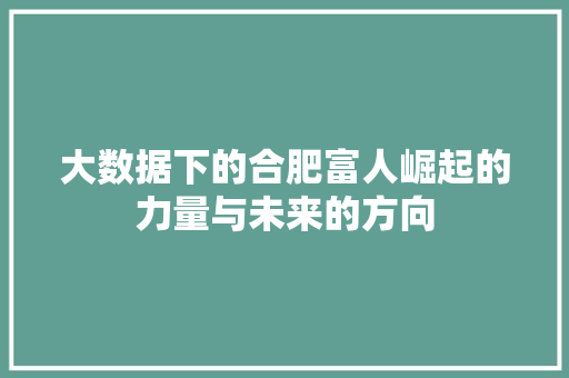 大数据下的合肥富人崛起的力量与未来的方向 网络技术