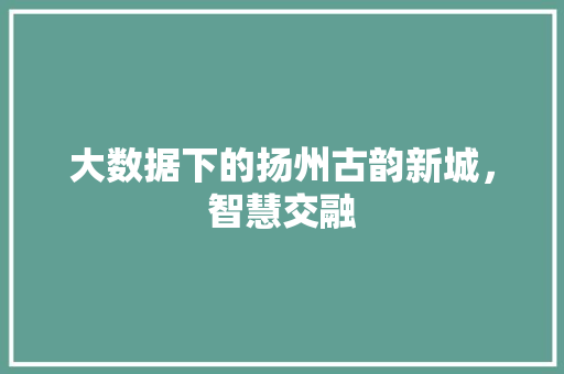 大数据下的扬州古韵新城，智慧交融 电脑基础