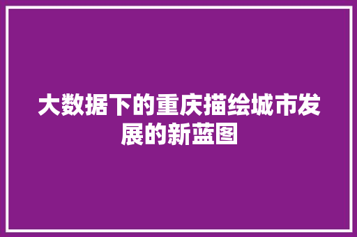 大数据下的重庆描绘城市发展的新蓝图 编程语言