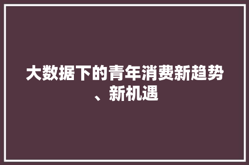 大数据下的青年消费新趋势、新机遇