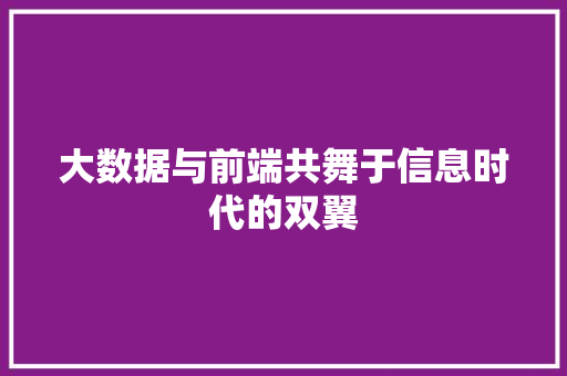 大数据与前端共舞于信息时代的双翼