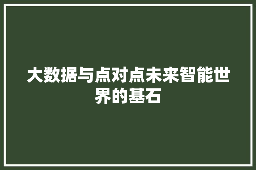 大数据与点对点未来智能世界的基石 编程语言 大数据与点对点未来智能世界的基石 编程语言