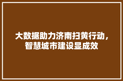 大数据助力济南扫黄行动，智慧城市建设显成效