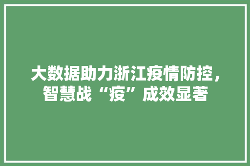 大数据助力浙江疫情防控，智慧战“疫”成效显著