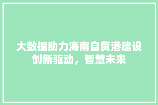 大数据助力海南自贸港建设创新驱动，智慧未来