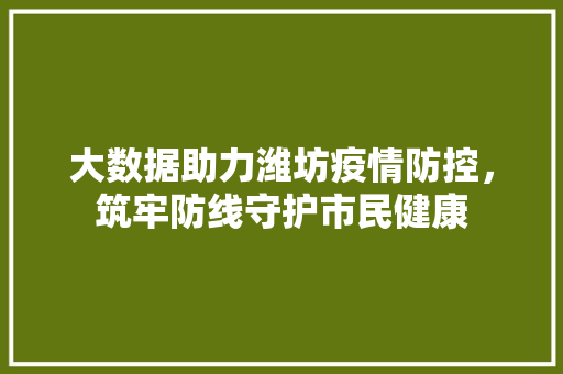 大数据助力潍坊疫情防控,筑牢防线守护市民健康 大数据助力潍坊疫情防控,筑牢防线守护市民健康