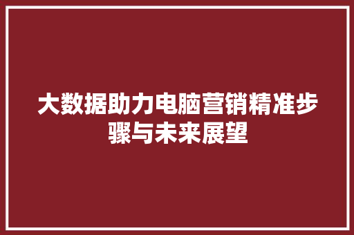 大数据助力电脑营销精准步骤与未来展望