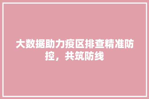 大数据助力疫区排查精准防控，共筑防线