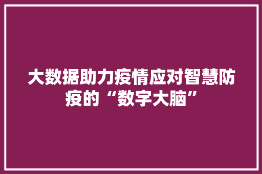 大数据助力疫情应对智慧防疫的“数字大脑”