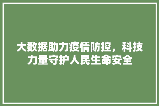 大数据助力疫情防控，科技力量守护人民生命安全