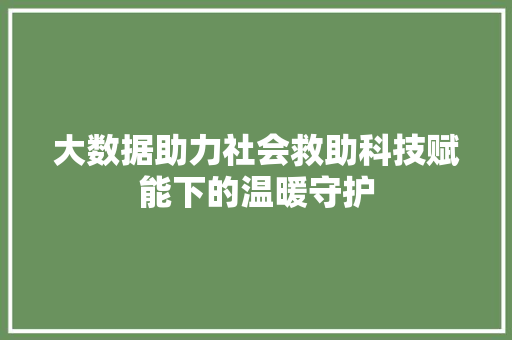 大数据助力社会救助科技赋能下的温暖守护 大数据助力社会救助科技赋能下的温暖守护