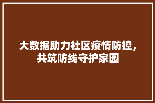 大数据助力社区疫情防控,共筑防线守护家园 大数据助力社区疫情防控,共筑防线守护家园