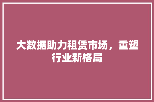 大数据助力租赁市场，重塑行业新格局