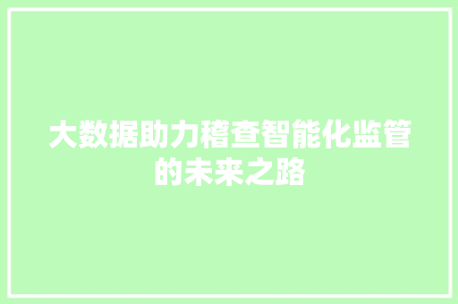 大数据助力稽查智能化监管的未来之路