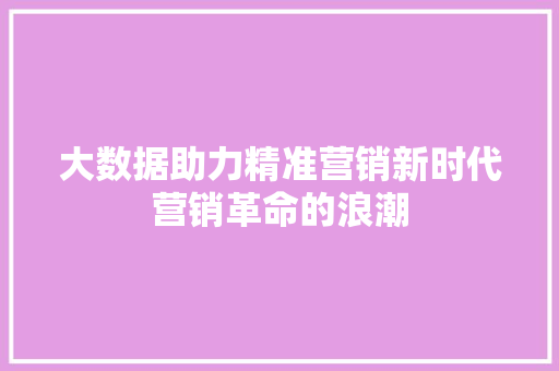 大数据助力精准营销新时代营销革命的浪潮 大数据助力精准营销新时代营销革命的浪潮