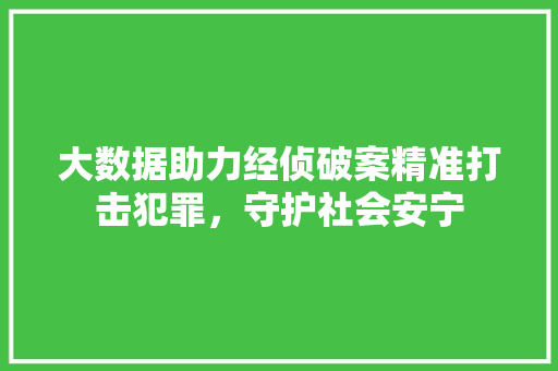 大数据助力经侦破案精准打击犯罪,守护社会安宁 大数据助力经侦破案精准打击犯罪,守护社会安宁