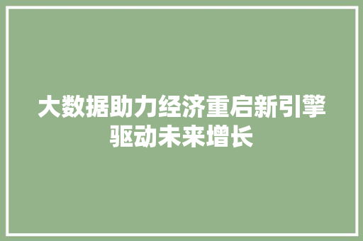 大数据助力经济重启新引擎驱动未来增长 大数据助力经济重启新引擎驱动未来增长