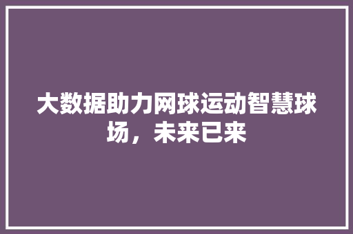 大数据助力网球运动智慧球场，未来已来