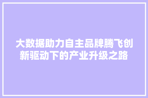 大数据助力自主品牌腾飞创新驱动下的产业升级之路