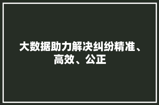 大数据助力解决纠纷精准、高效、公正