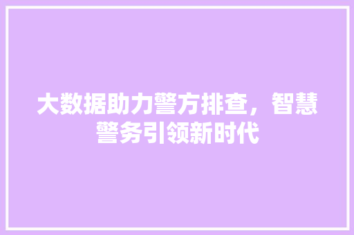 大数据助力警方排查，智慧警务引领新时代