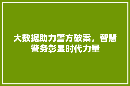 大数据助力警方破案，智慧警务彰显时代力量