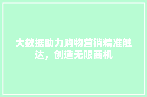 大数据助力购物营销精准触达，创造无限商机