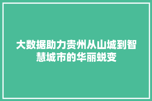 大数据助力贵州从山城到智慧城市的华丽蜕变