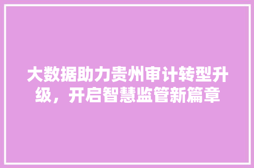 大数据助力贵州审计转型升级,开启智慧监管新篇章 大数据助力贵州审计转型升级,开启智慧监管新篇章
