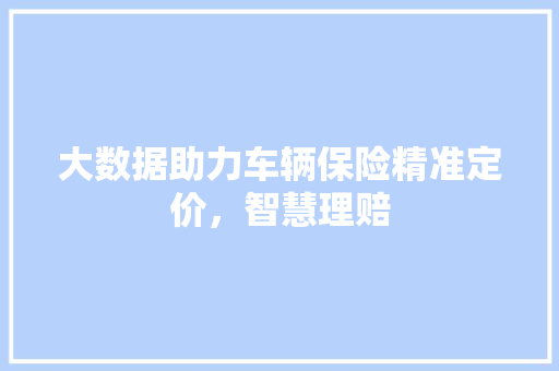 大数据助力车辆保险精准定价，智慧理赔