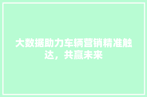 大数据助力车辆营销精准触达，共赢未来
