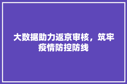 大数据助力返京审核，筑牢疫情防控防线