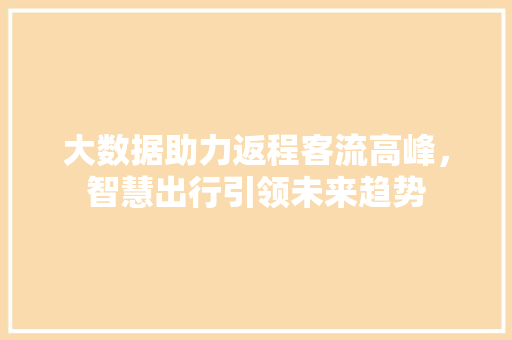 大数据助力返程客流高峰，智慧出行引领未来趋势