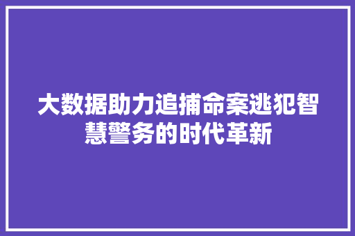 大数据助力追捕命案逃犯智慧警务的时代革新