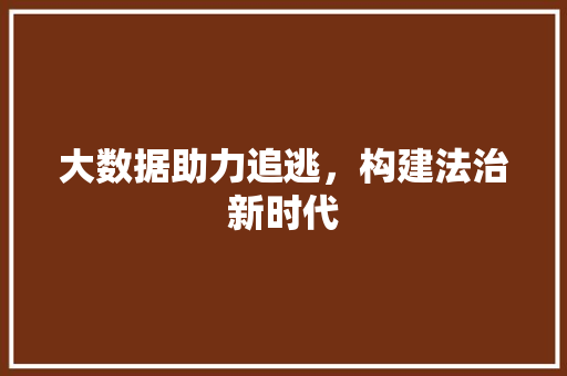 大数据助力追逃，构建法治新时代
